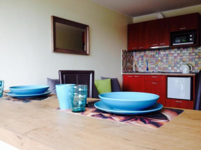Отель A Cozy Central Studio  Друскининкай